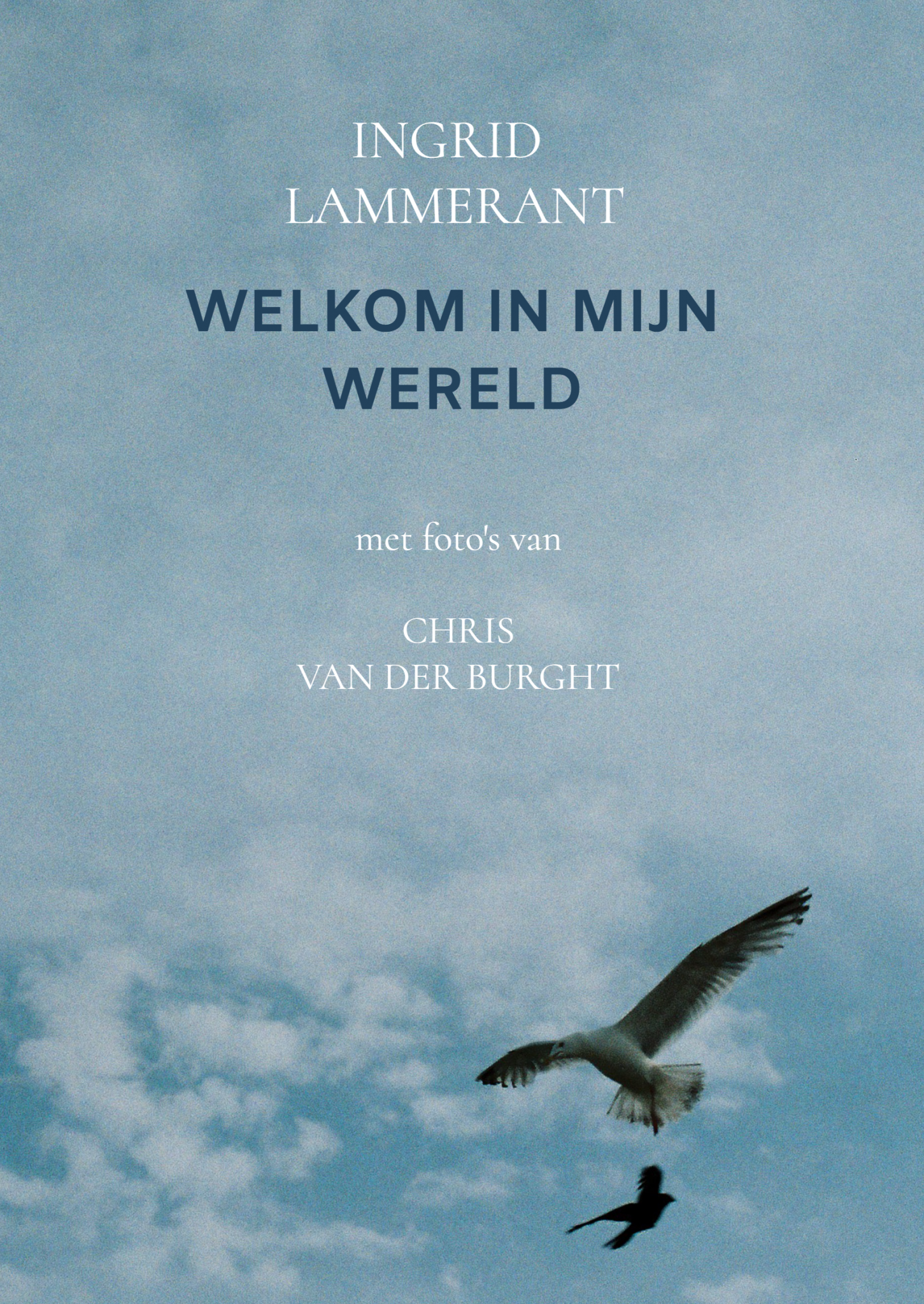 Welkom in mijn wereld – Ingrid Lammerant