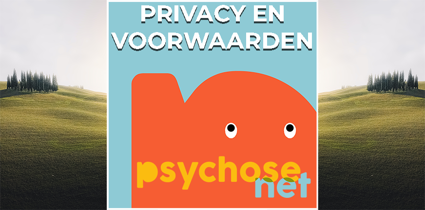 Privacy en Voorwaarden