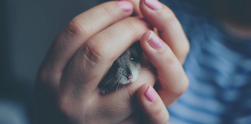 Hopensjouwer schrijft over hoe spannend het onbekende is. Hij verhuist naar zijn nieuwe flatwoning. Muizen in je woning hebben is niet fijn.
