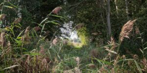 Blog- Zinvolle zingeving