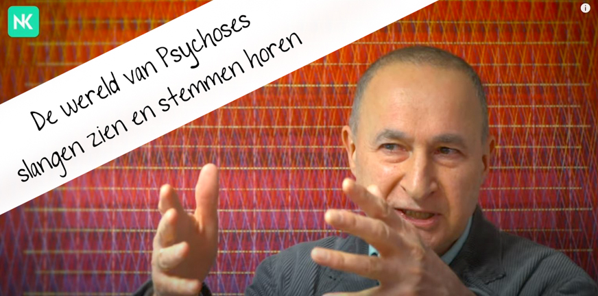 De wereld van psychoses – slangen zien en stemmen horen
