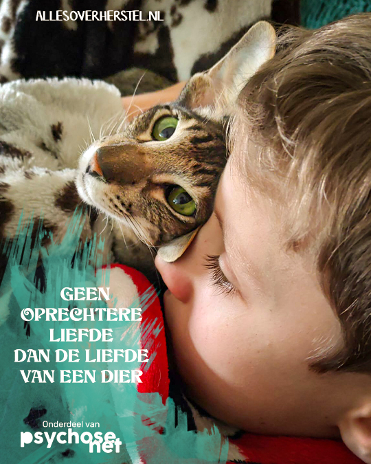 Quote: Geen oprechtere liefde dan de liefde van een dier. 

Wat betekent dierenliefde voor jou?