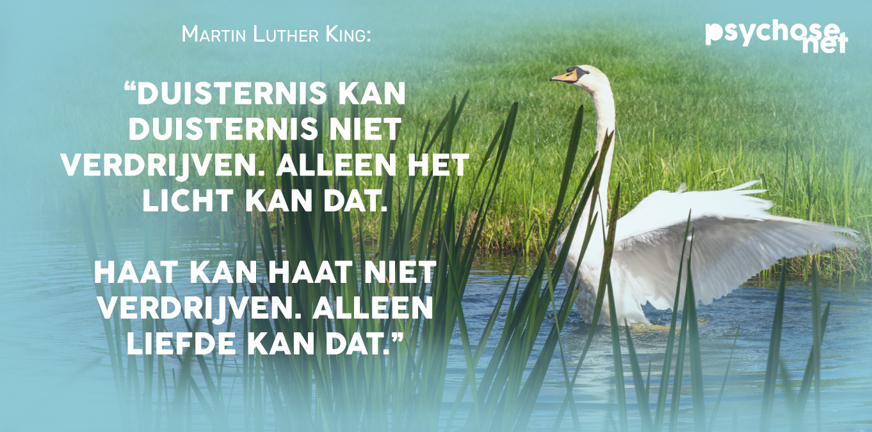 Martin Luther King – duisternis kan duisternis niet verdrijven