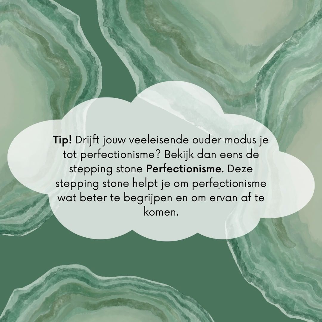 Last van Perfectionisme - Steppingstones PsychoseNet