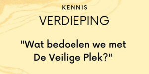 Wat bedoelen we met de veilige plek?