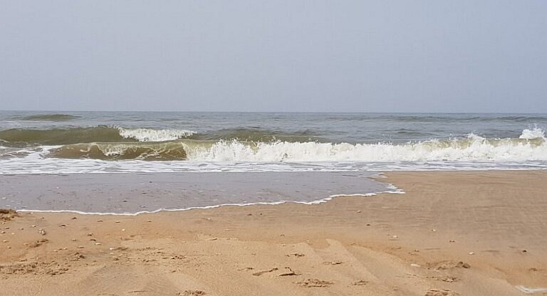 De AIVD, denk je daar nog wel eens aan? * PsychoseNet