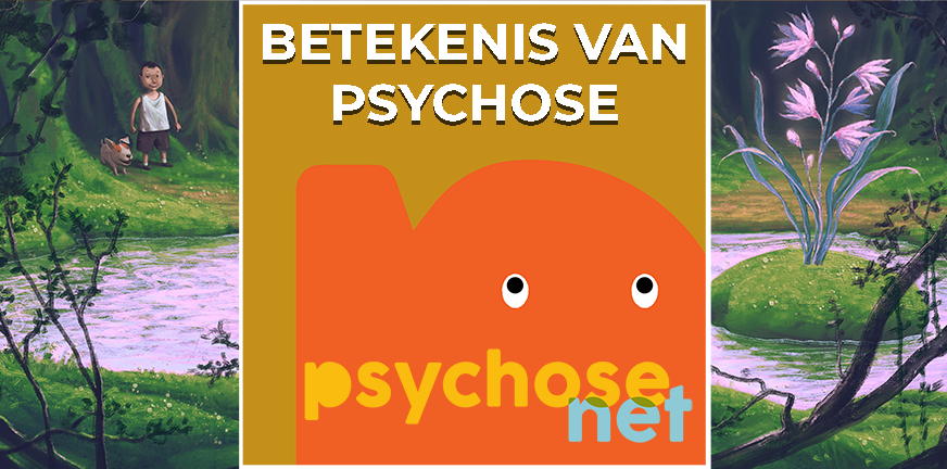 De betekenis van Psychose: Heeft psychose een verborgen betekenis? Professor Jim van Os vertelt dat een psychose niet willekeurige gedachten of beelden zijn.