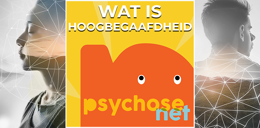 Wat is Hoogbegaafdheid?