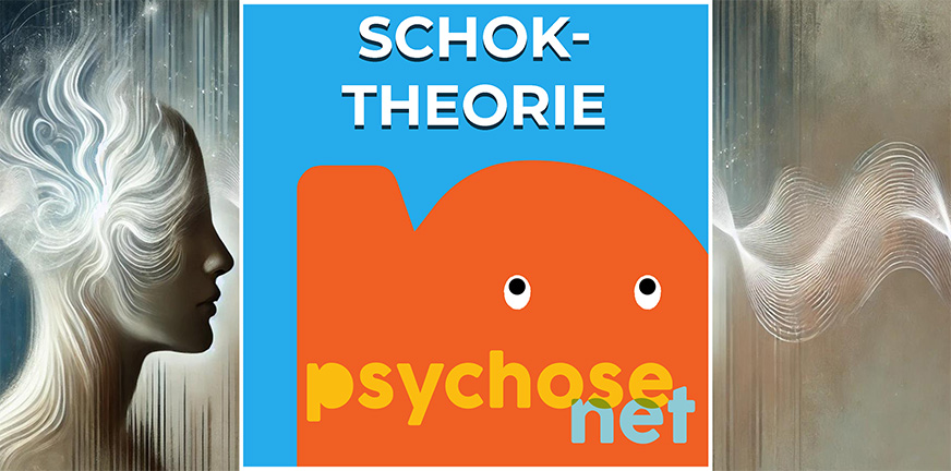 De ‘Schok’-theorie – uit de negatieve mentale loop komen