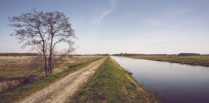Geeske maakt een lange wandeling. Ze wordt bijna overlopen door een losgebroken pony. Waar is de ruiter? Belevenissen maken wandelen leuk.