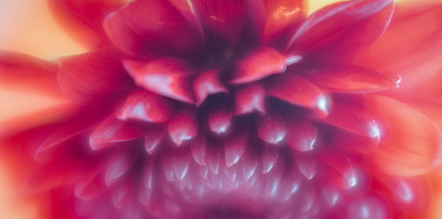 Creatieve foto’s maken, een leuke afwisseling!