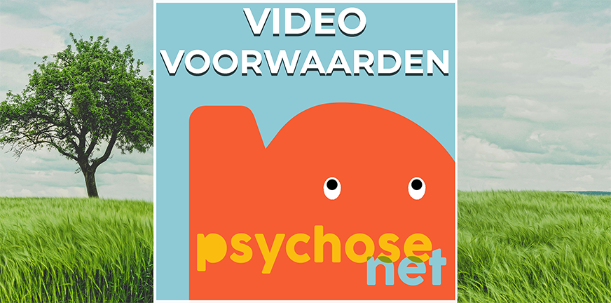 Je hebt een video opgenomen en je wilt deze delen met PsychoseNet? Daar zijn we blij mee. Dit zijn onze video voorwaarden. Helder.