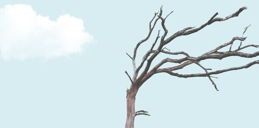 Toen mijn hoofd te vol raakte -leven na een stress psychose