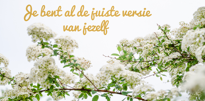Mezelf herontdekken – of ben ik al de juiste versie?