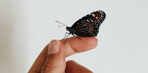 Leeuwtje deelt een korte maar krachtige reflectie over het loslaten van het herstelproces en het opnieuw leren leven.
