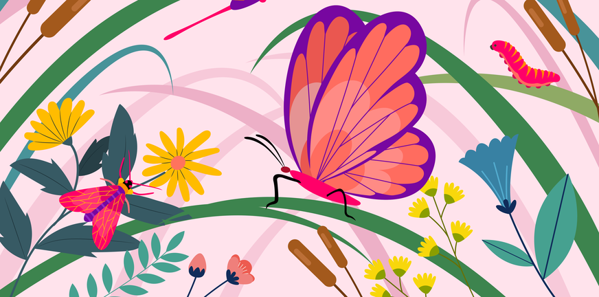 Hoe ik liefde vond – hobby’s, emoties en een spirituele zoektocht