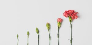 Jeroen betoogt in zijn blog dat het voorkomen van psychoses evolutionair goed te verklaren valt en nut heeft gehad voor het overleven.