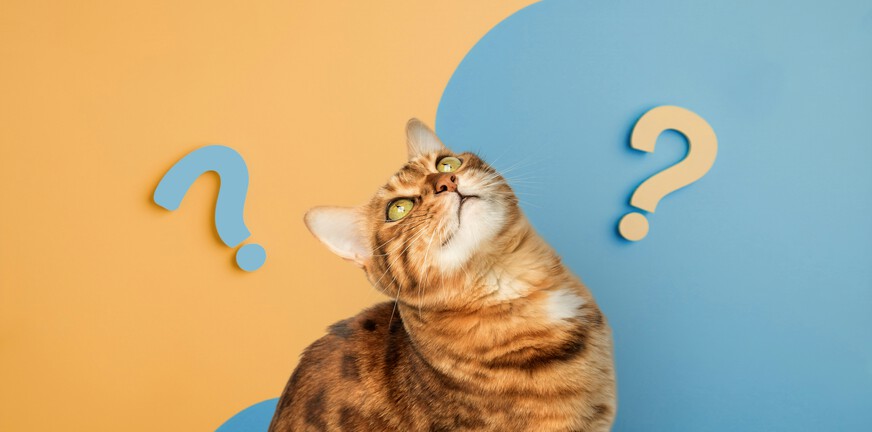 Wil je psychiater voor je beslissen? – eigen regie binnen de GGZ