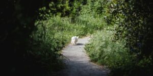 Miriam beschrijft over een pijnlijke zoektocht naar de waarheid, een kostbare herinnering en de rouw om haar zoon.
