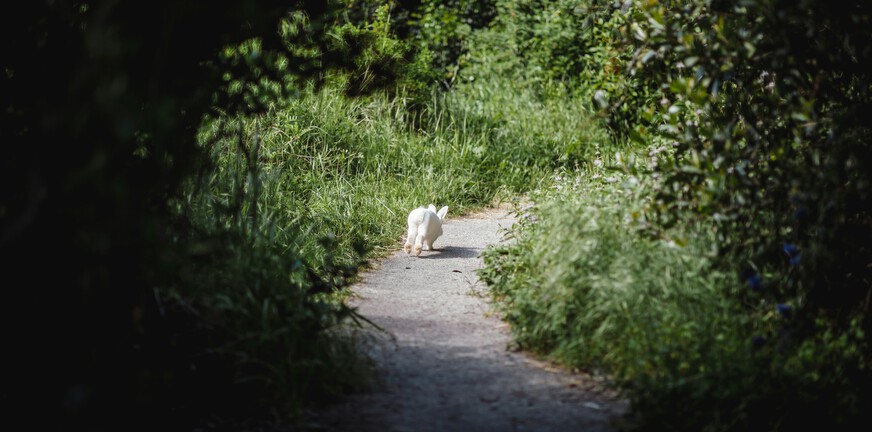 De diepte in — confrontatie, herinneringen en rouw