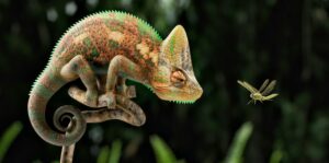 Hoe sturen we ons leven bij wanneer het stormachtig is? Volgens Eddo Rats gaat het om adaptief vermogen, hier schrijft hij over.