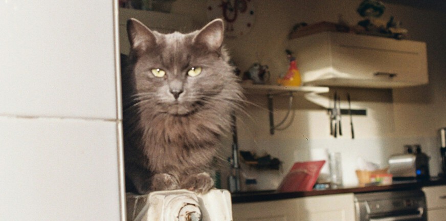 Maria Louise wil graag een inkijkje geven in haar hersteldagboek, ze schrijft over onrust, maar ook over momenten van plezier.