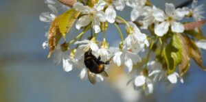 Bauke is de afgelopen periode door een spiritueel ontwaken gegaan. Wat hij merkte, is dat hij de behoefte had om de informatie te delen.