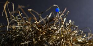 Vlinder blijft stabiel op een lage dosis medicatie. Zij is inmiddels afgebouwd, hierbij blijft het financiële plaatje van medicatie een zorg.