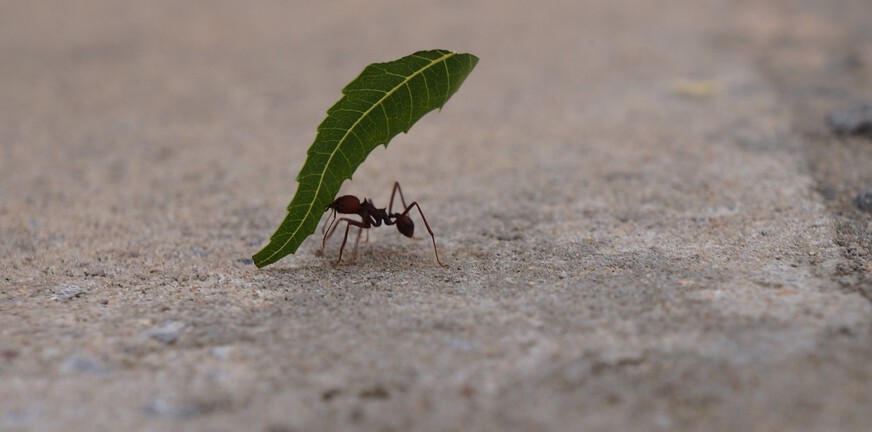Depressie: verantwoordelijkheid nemen doet pijn