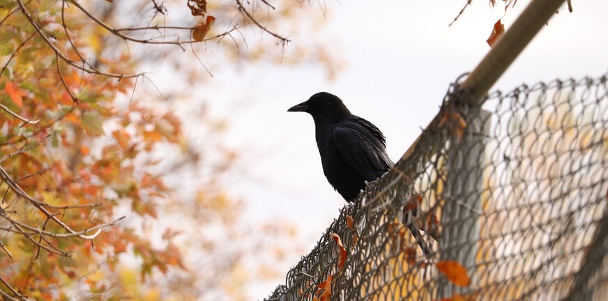 Elke dag opnieuw — een kijkje in mijn herstelproces
