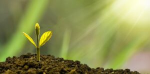 Als je te maken krijgt met een psychische aandoening, kan dat je leven omgooien. De draad van je leven weer oppakken is persoonlijk herstel.