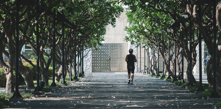 Amor Fati — dwang en drang bij verslaving