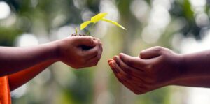 Voor ons onderzoek werven wij mensen die hun ervaringen met stemmingsstoornissen en persoonlijk herstel willen delen.