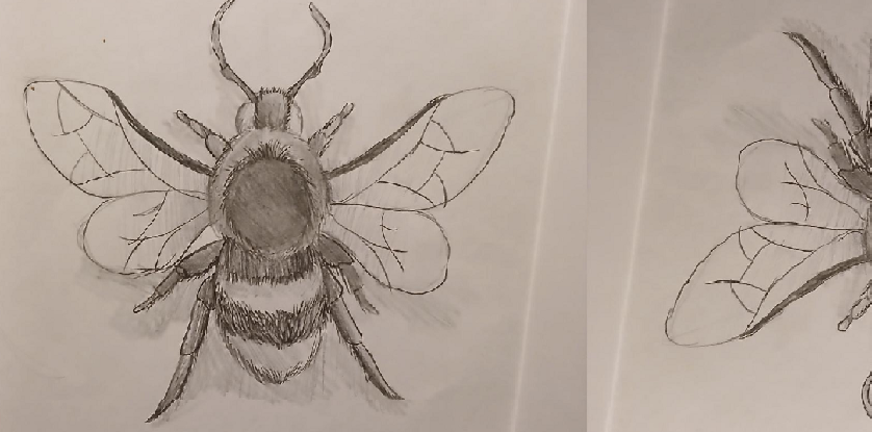 Ik was weer even psychotisch en dat was helemaal oké.