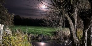 Een jaar geleden ervoer Maria Louise een psychose. Ze deelt persoonlijke passages over angst na haar psychose en de steun van naasten.