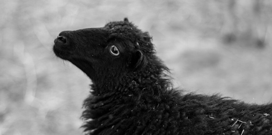 Verkeerde bezorgdheid — nooit meer de identified patiënt