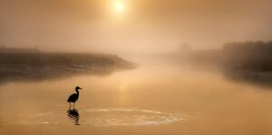 Mensen vragen Carlijn vaak: Jij bent toch hersteld? Het is ingewikkeld, want wat betekent het, hersteld zijn bij psychische kwetsbaarheid?
