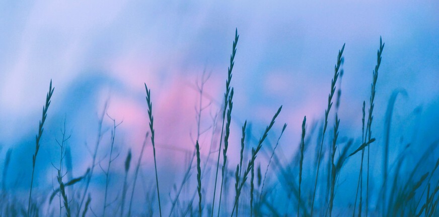 Toen mijn eerste psychose is ontstaan