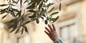 Zorg op de Spoedeisende Hulp na een suïcidepoging vindt plaats in een kwetsbare periode. Daarom doet Yvonne onderzoek naar deze ervaringen.